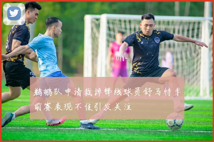 鹈鹕队申请裁掉锋线球员舒马特季前赛表现不佳引发关注