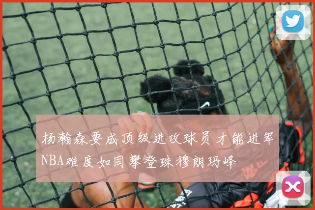 杨瀚森要成顶级进攻球员才能进军NBA难度如同攀登珠穆朗玛峰